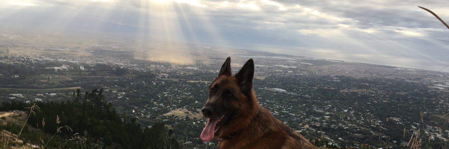 RobTemlett's profile banner image