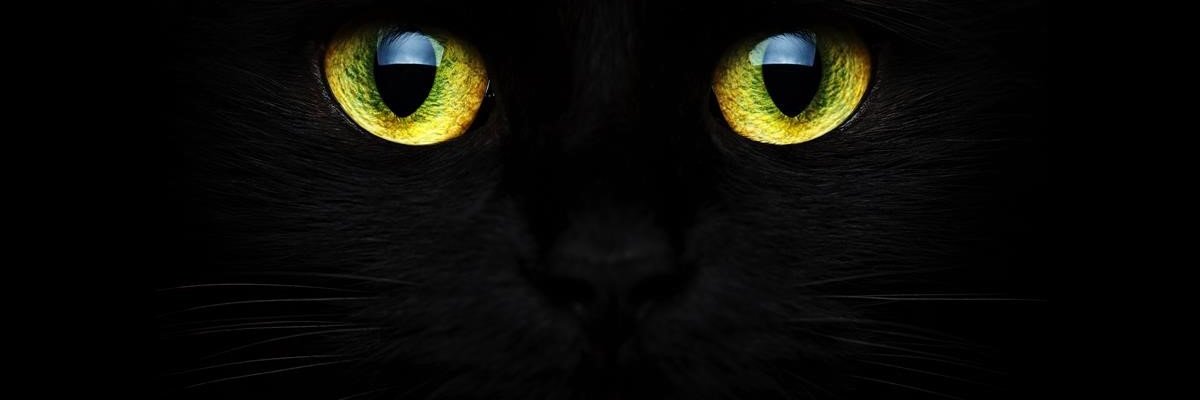 garcia_blanco's profile banner image