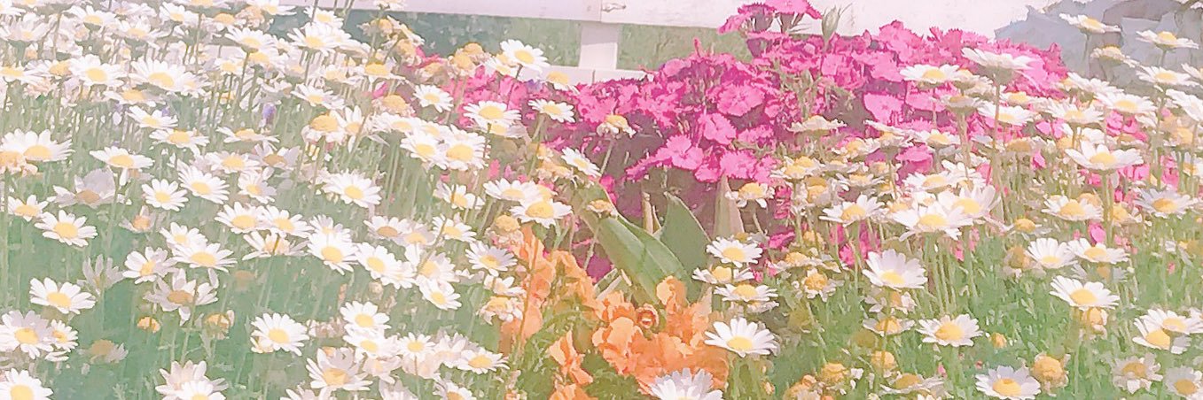 Ruka92121071's profile banner image