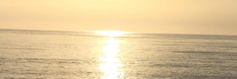 Abbie_Settle's profile banner image
