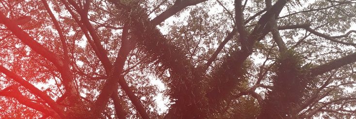 yorama_'s profile banner image