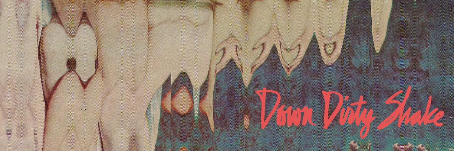DownDirtyShake's profile banner image