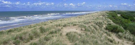strandterheide's profile banner image