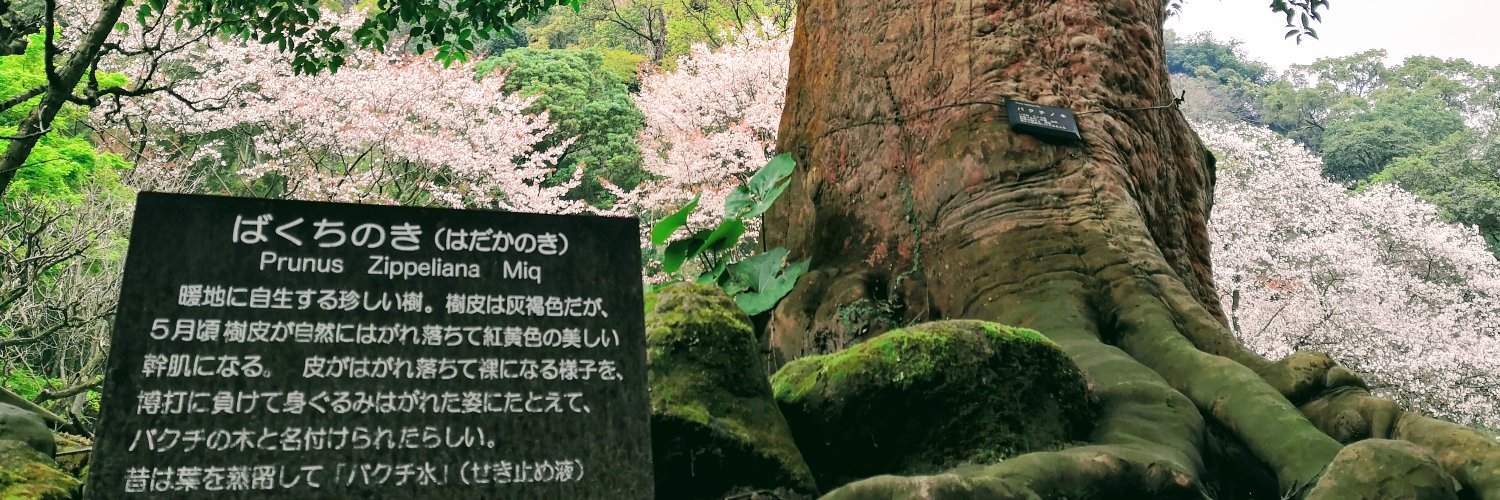 marusumimaru's profile banner image