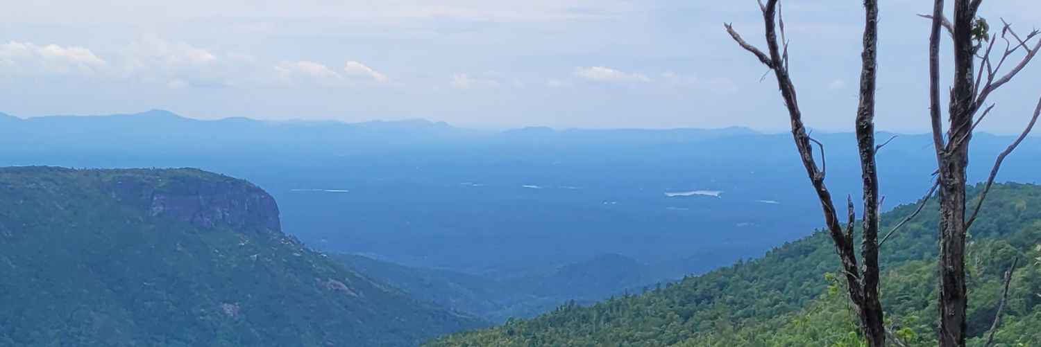 FreedomEagle banner