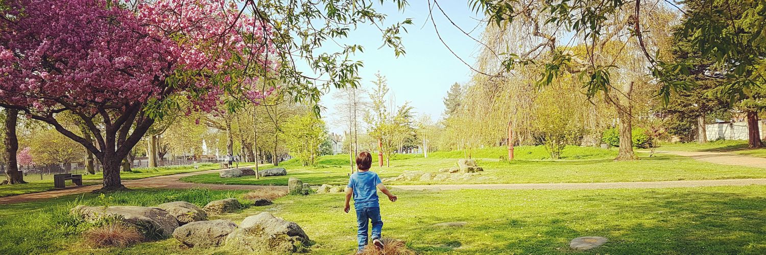 Timothy Green banner