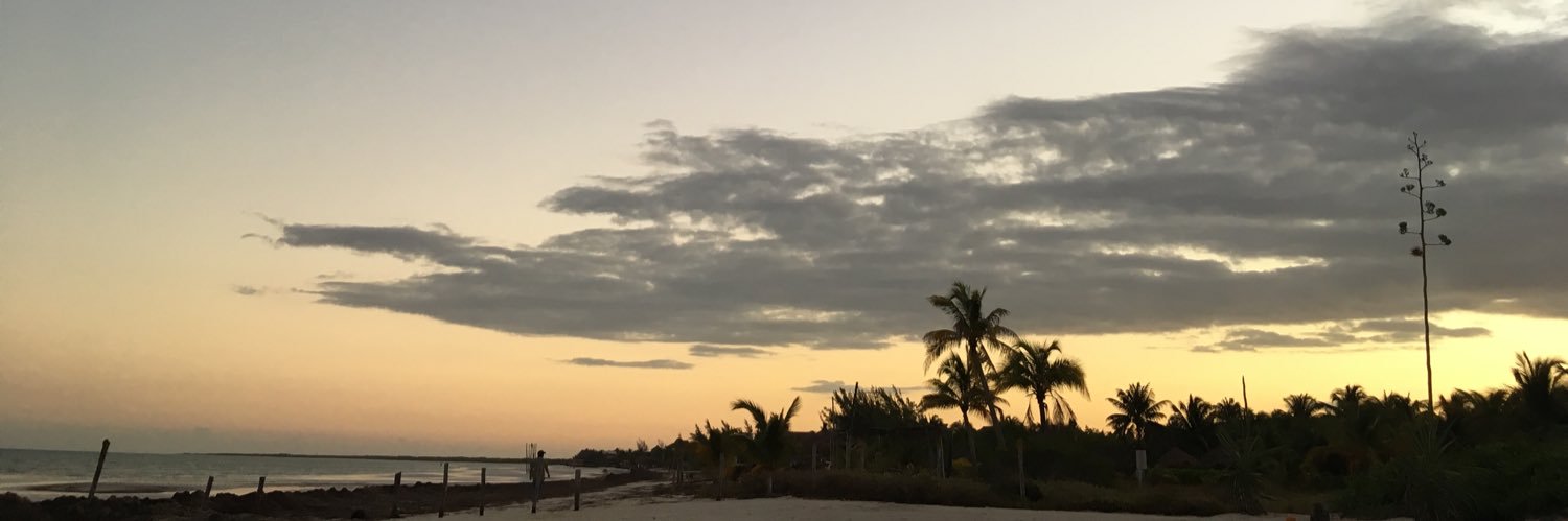 beehawds's profile banner image