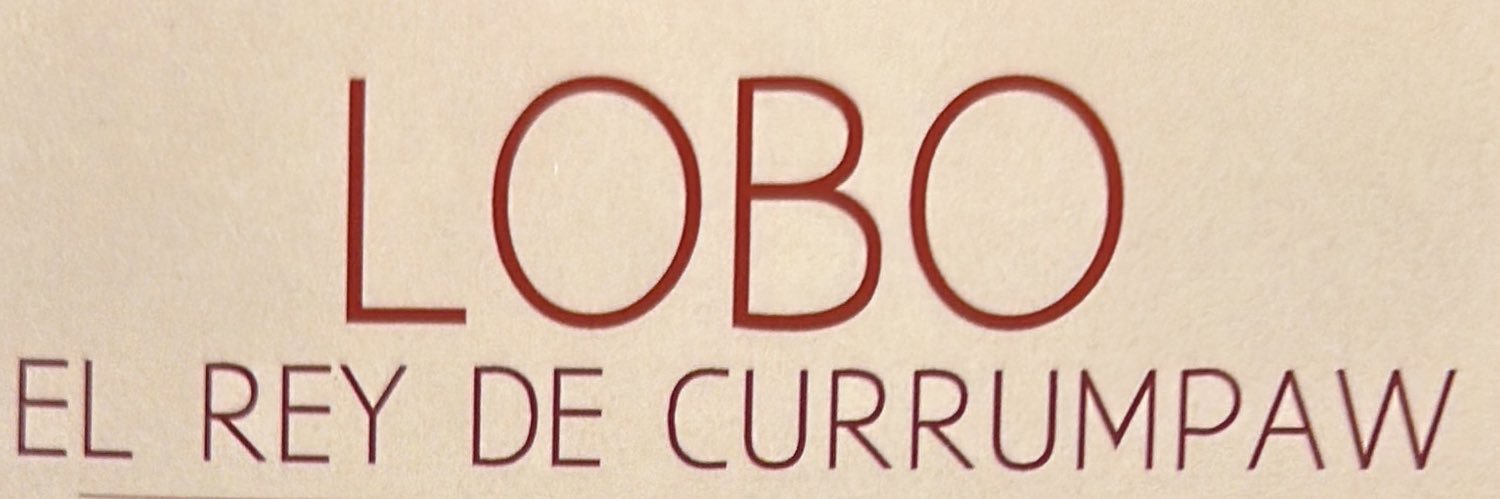 JLopezCorral's profile banner image