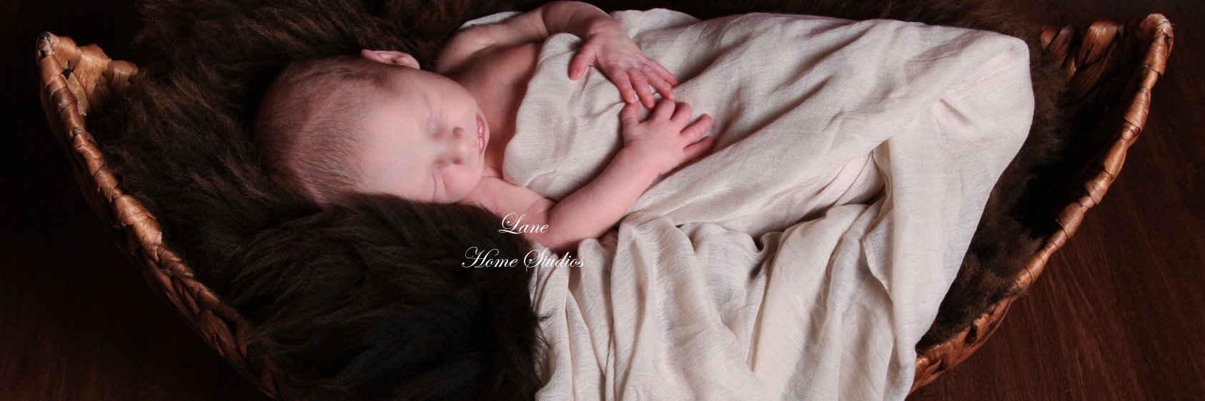 LaneHomeStudios's profile banner image