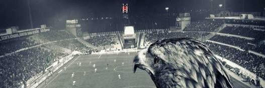 SergenBozo's profile banner image