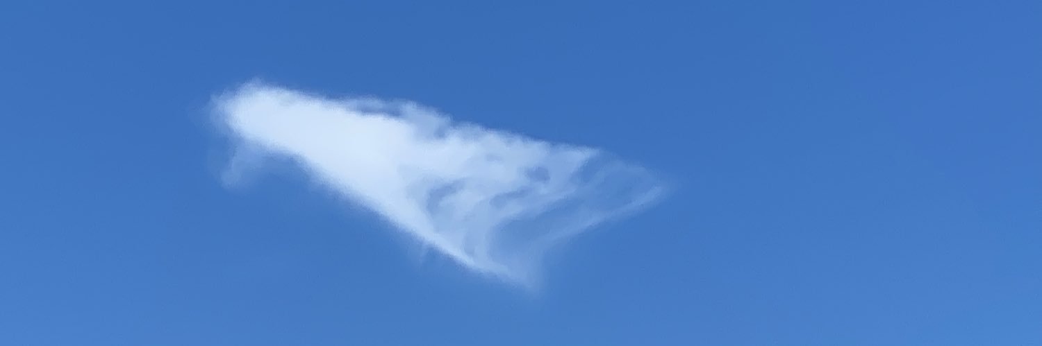 Casual Observer banner