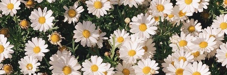 meralltopcu's profile banner image