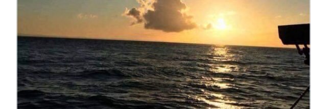deodhar_ann's profile banner image