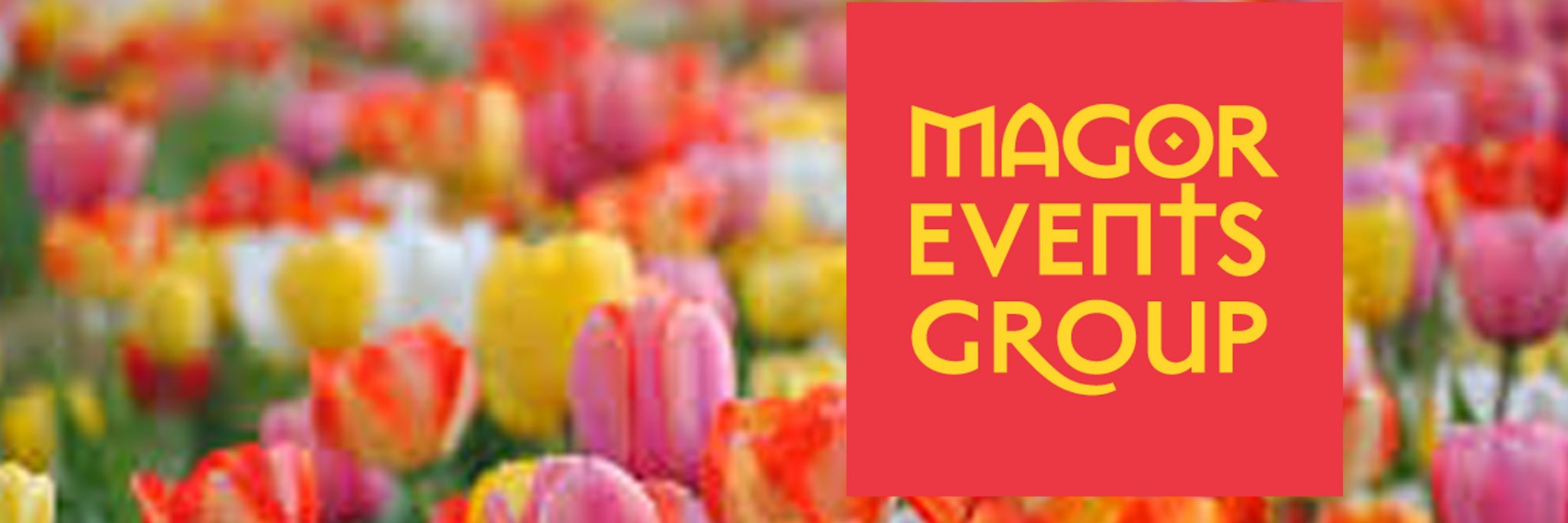 MagorChurchmen's profile banner image