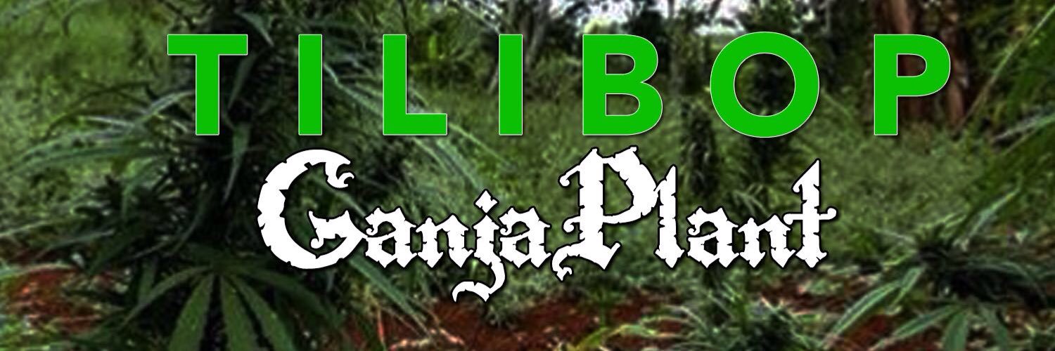 Freeworll's profile banner image