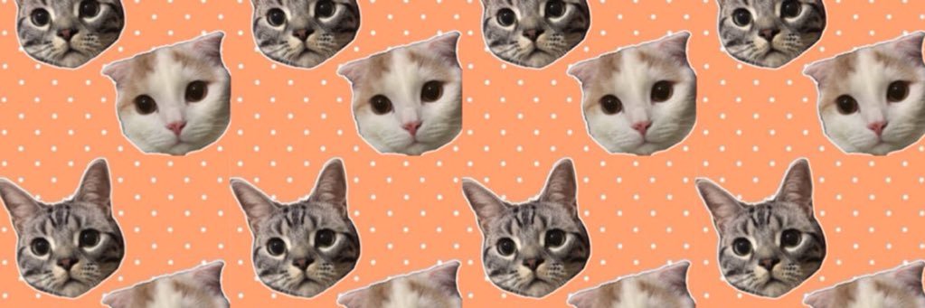 ChocolatesPasta's profile banner image