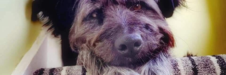 Shayes93's profile banner image
