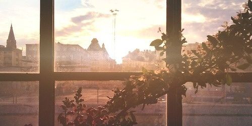 Lanze banner