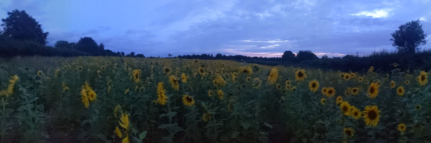 lizzienevell's profile banner image