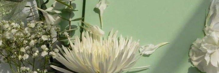 bttky_49's profile banner image