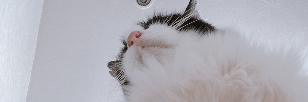 morute_x's profile banner image