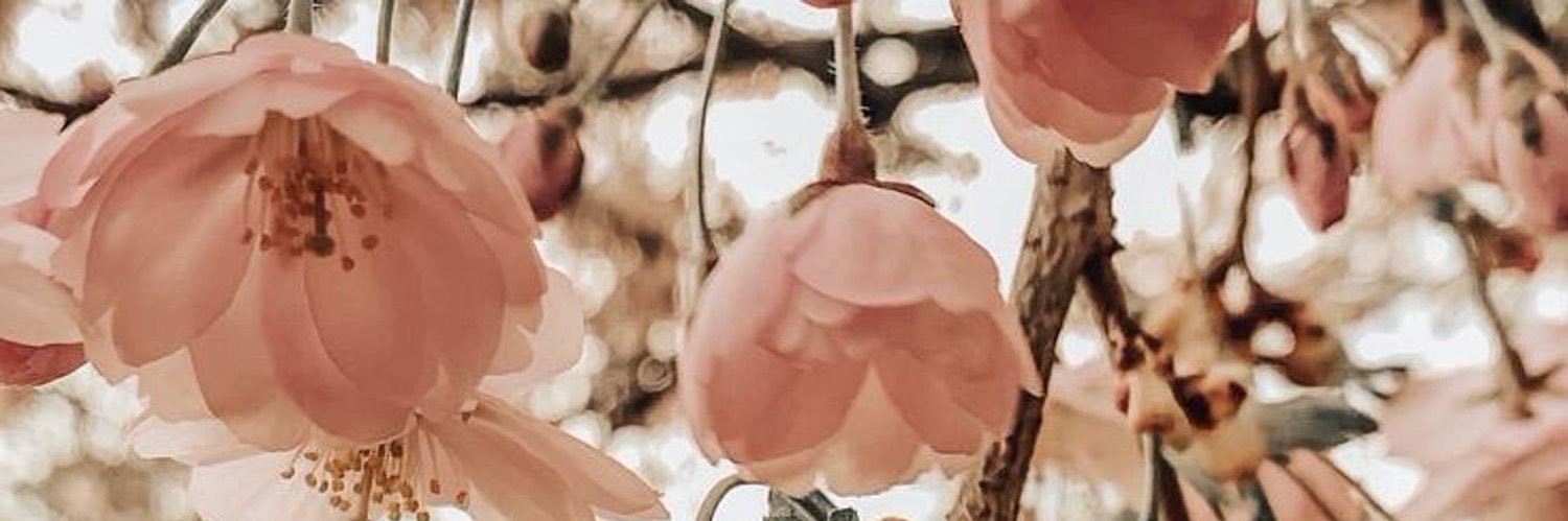 inannaalameri's profile banner image