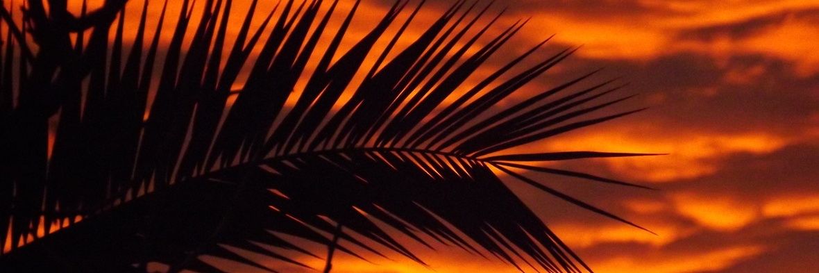 belen9533's profile banner image