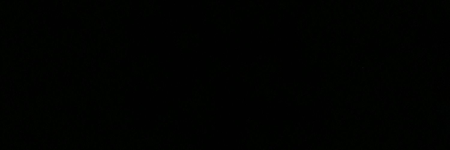 L_Z_S99's profile banner image