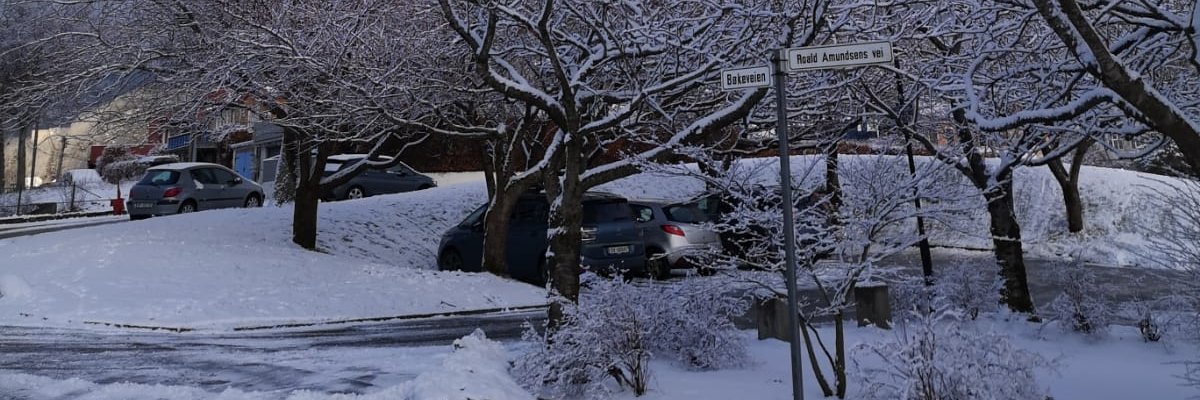 pakkakimingey's profile banner image