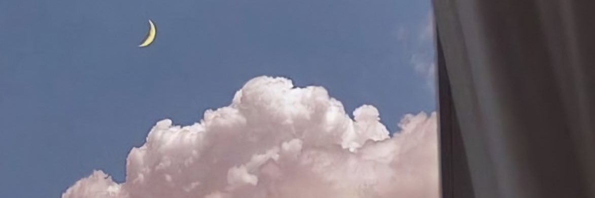 rbeeabinsalm's profile banner image