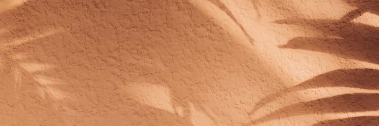 AnysiaB's profile banner image