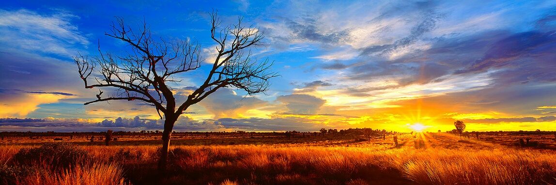 Par_Grewal's profile banner image
