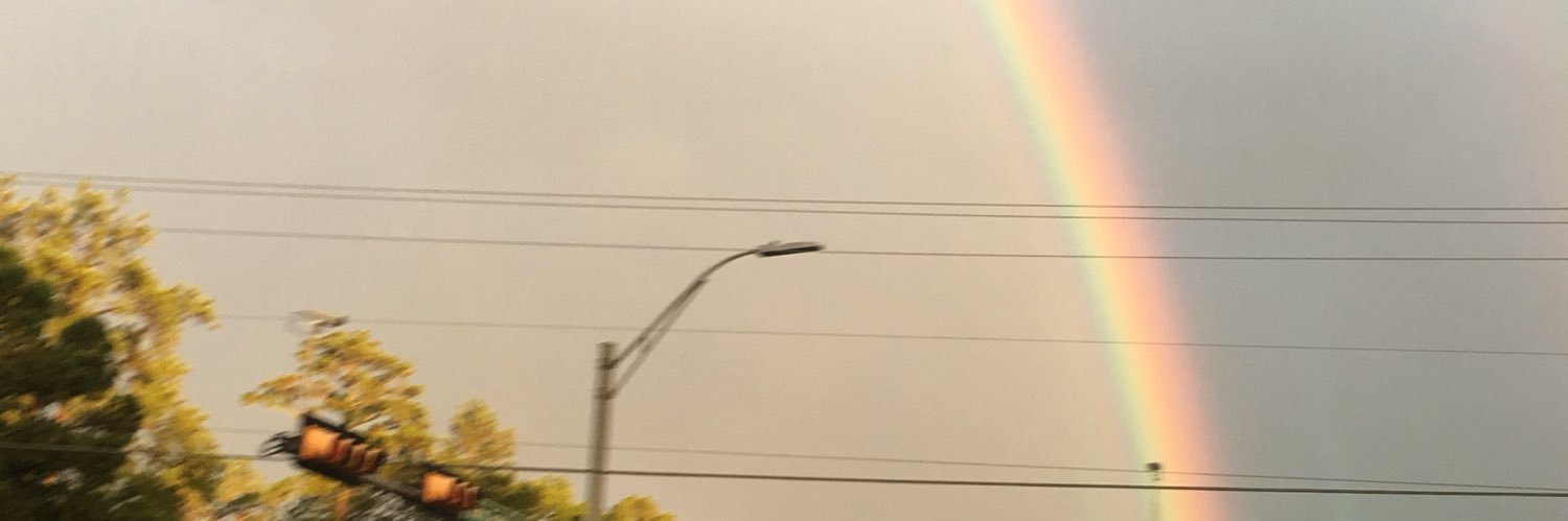 amycmchaney's profile banner image
