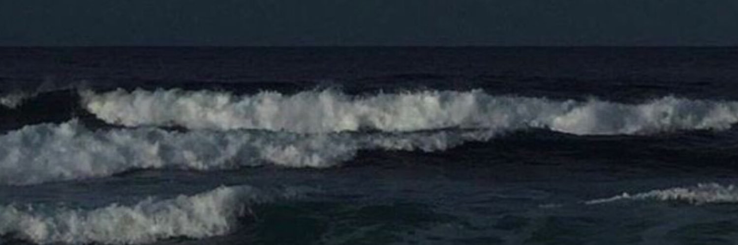 mertsenogl's profile banner image