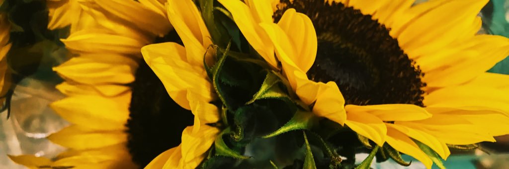jul8aweimer_'s profile banner image
