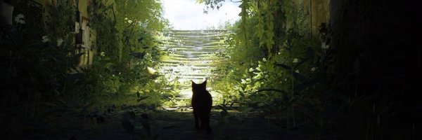 nekopipo Profile Banner