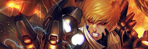 Nilson banner