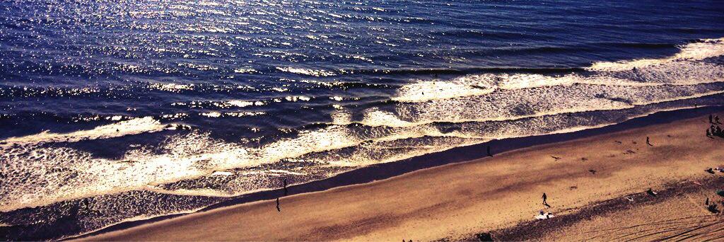 Int'l Pickleball banner