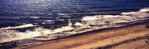 WorldPickleball Profile Banner