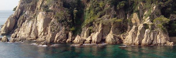 ItsWenning Profile Banner