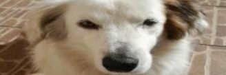 sd_raas's profile banner image