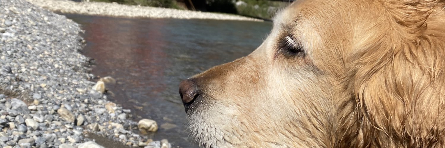 trashpandaK8's profile banner image