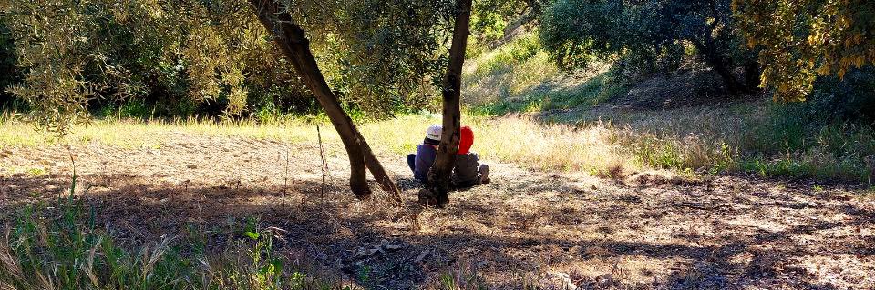 Cecilio Sánchez banner