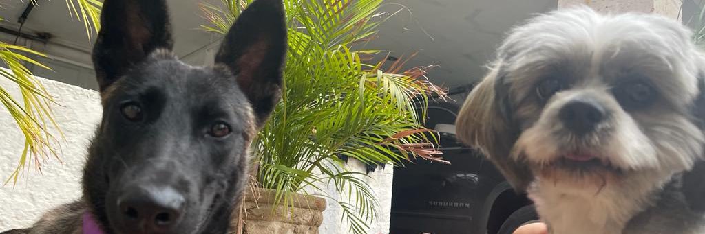 geraglz1's profile banner image