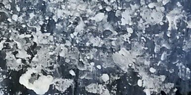 LeraCordner's profile banner image