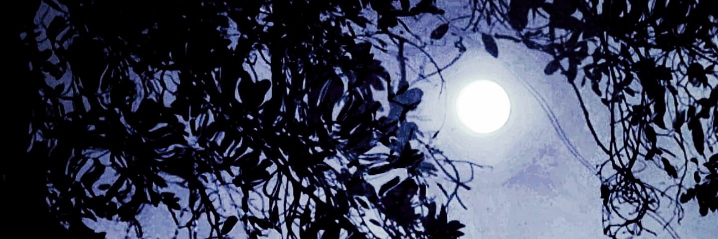 pragyesh03's profile banner image