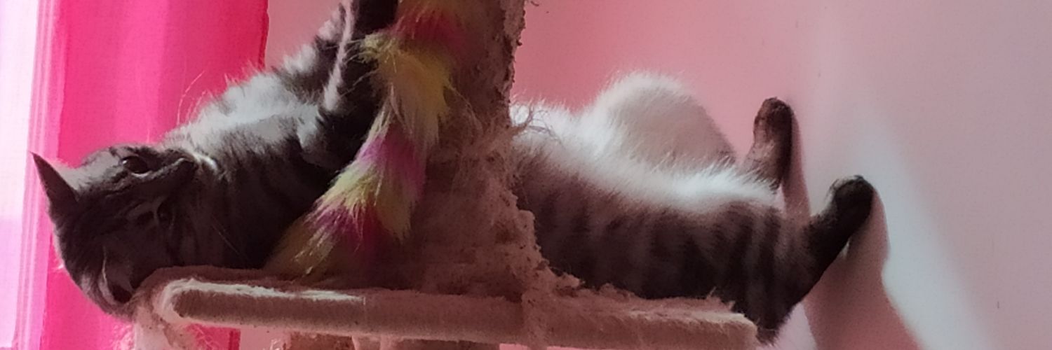 justeAza's profile banner image
