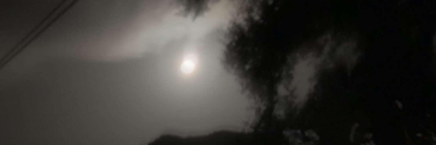 LxneBrxther's profile banner image