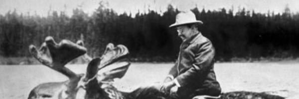 fricknobailey's profile banner image