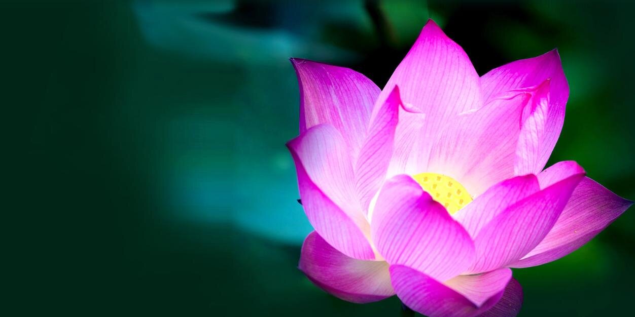 RellandSarah's profile banner image